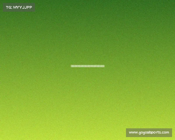 莱比锡新帅明确目标带领球队重返欧战赛场争取资格