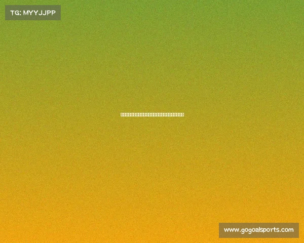 街头篮球的热潮与文化探索：从街头到赛场的变革与影响